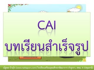 ณัฐพล บัวอุไร [www.nattapon.com] โรงเรียนเตรียมอุดมศึกษาพัฒนาการ ลาลูกกา, สพม. 4 (ปทุมธานี)
 