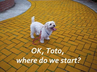 OK, Toto,
where do we start?
 