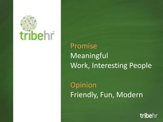 Promise
Meaningful
Work, Interesting People

Opinion
Friendly, Fun, Modern
 
