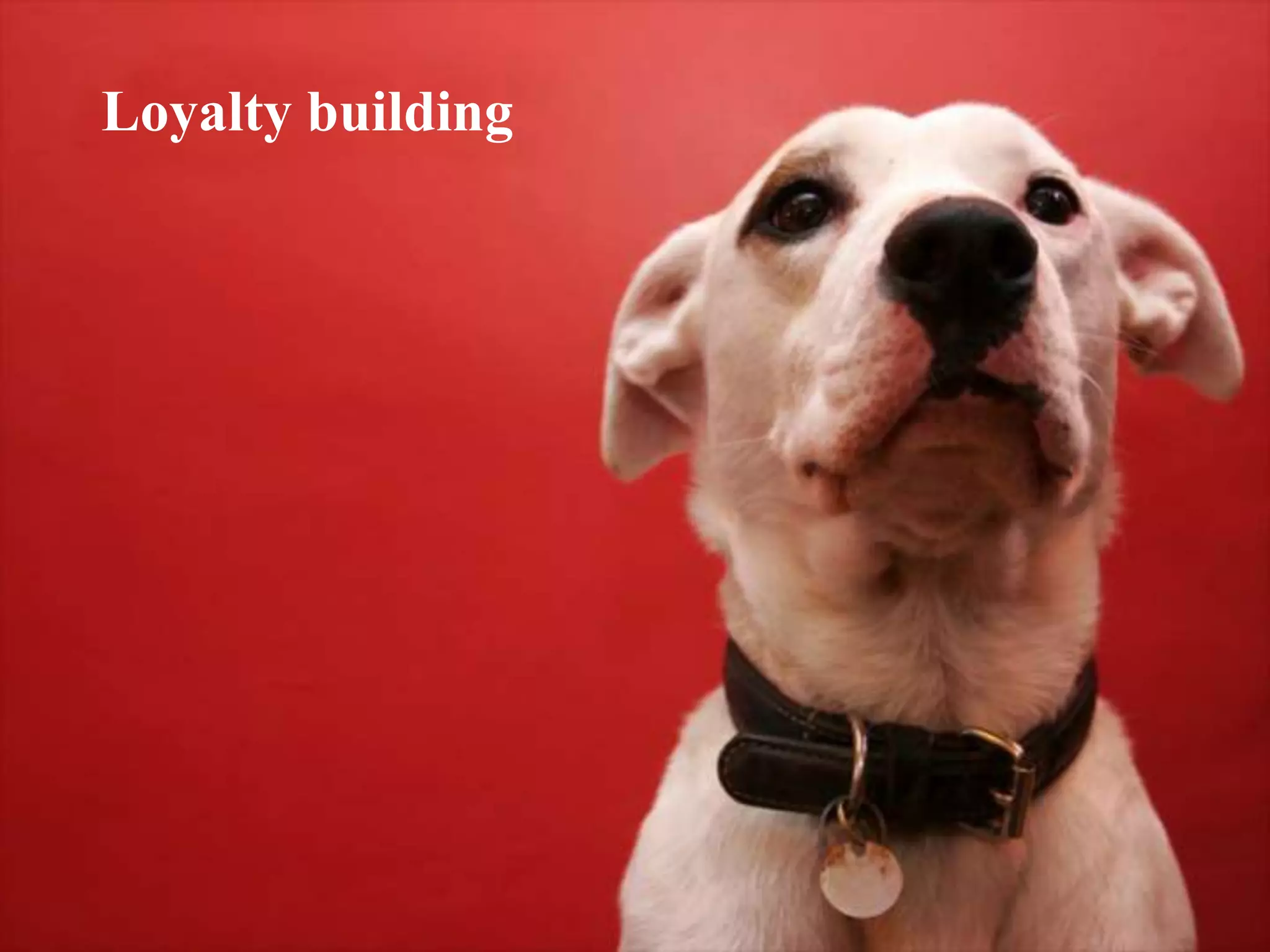 14th September 2012University of Bedfordshire 3
Social Media: Do’s and Don’ts
Loyalty building
 