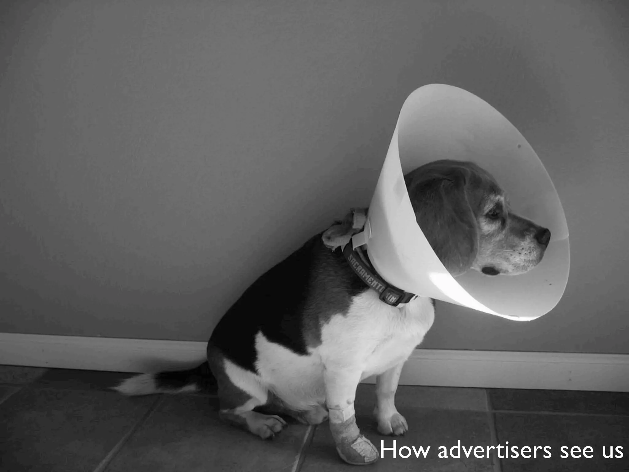 Harnessing the Power of Social Media for Marketing and Community Outreach