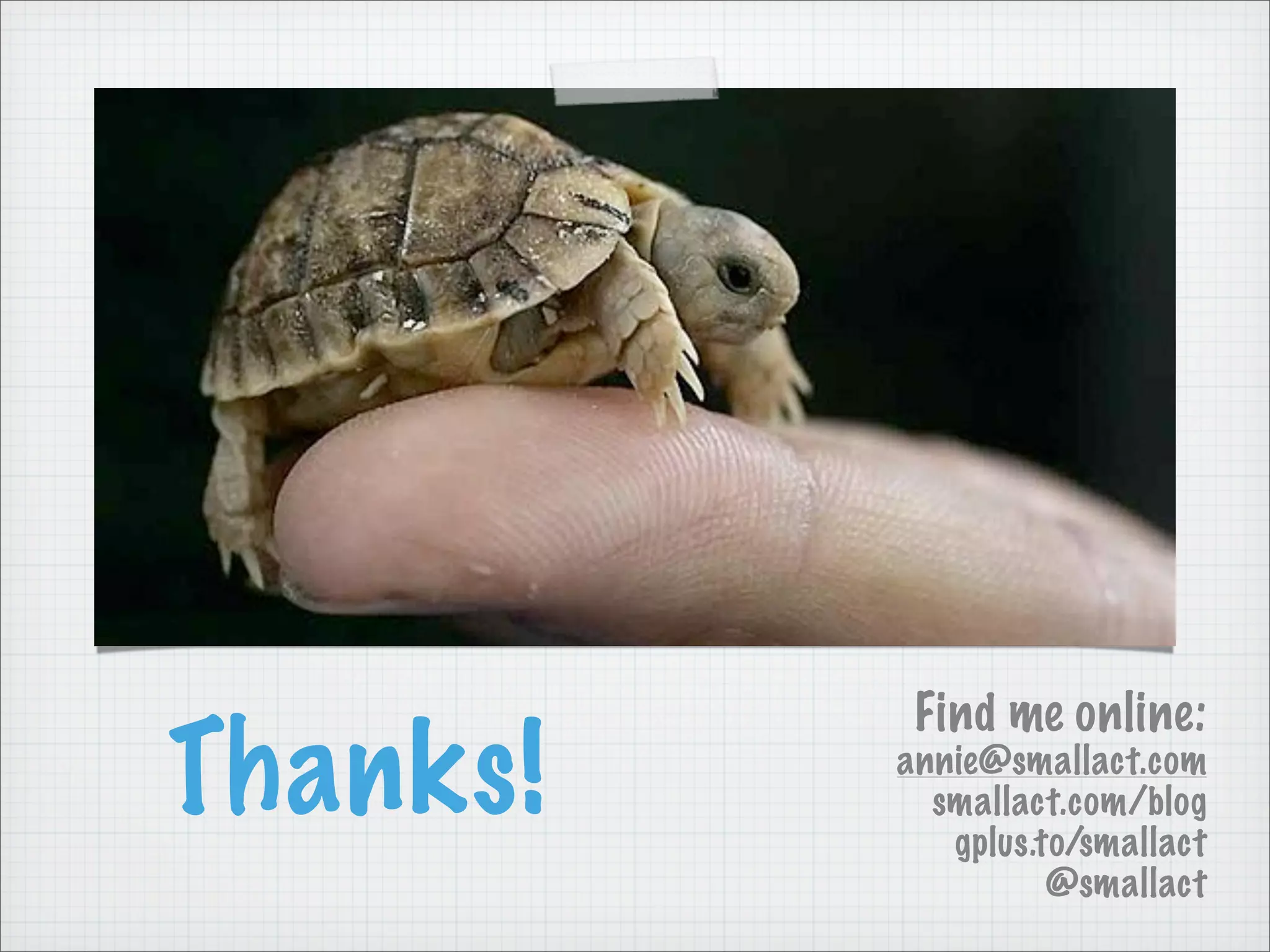 Thanks!
Find me online:
annie@smallact.com
smallact.com/blog
gplus.to/smallact
@smallact
 