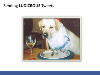  How many MySpace users are there?Social Media STATISTICSFacebookMySpaceTwitterLinkedInAll Social MediaUsers -> 500 million Users – > 100 MillionUsers –> 75 Million55.6 million adults –just less than 1/3rd of the population – in the US now visit social networks at least monthlyUsers –18 -100 Million (depending on who you ask) Average age: 3861% are aged 35 or olderAverage age: 3964% are aged 35 or older.Average age: 44Average age: 31Average age: 37Misc. Info50% log on daily