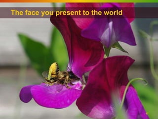 The face you present to the world




                                    17
 