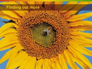 Finding out more




                   38
 