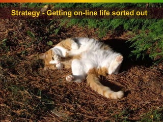 Strategy - Getting on-line life sorted out




                                             13
 