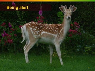 Being alert




              7
 