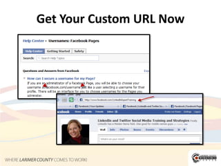 Professional Profile