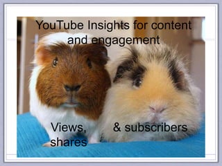 YouTube Insights for content
and engagement
Views,
shares
& subscribers
 