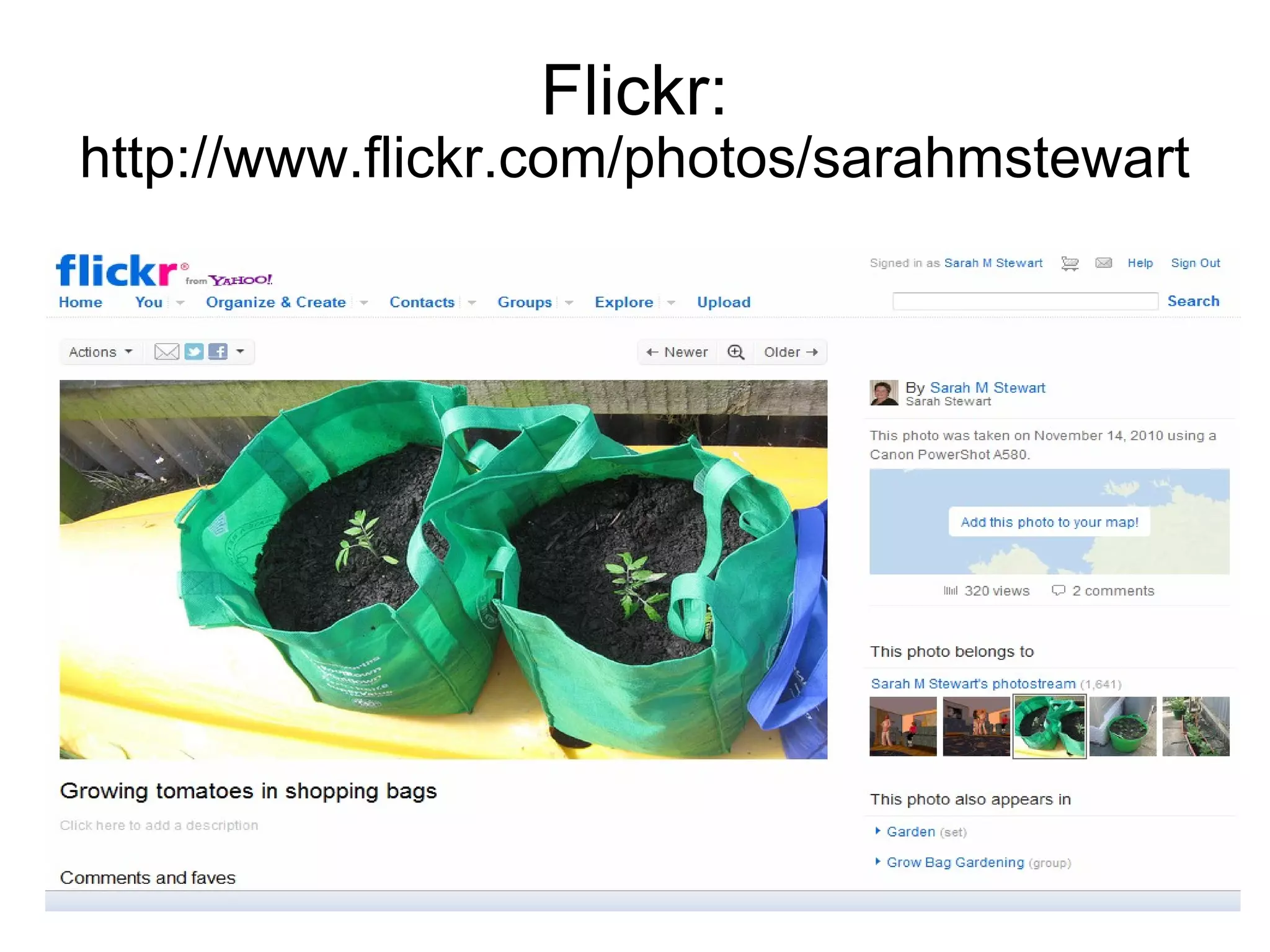 Flickr:  http://www.flickr.com/photos/sarahmstewart 