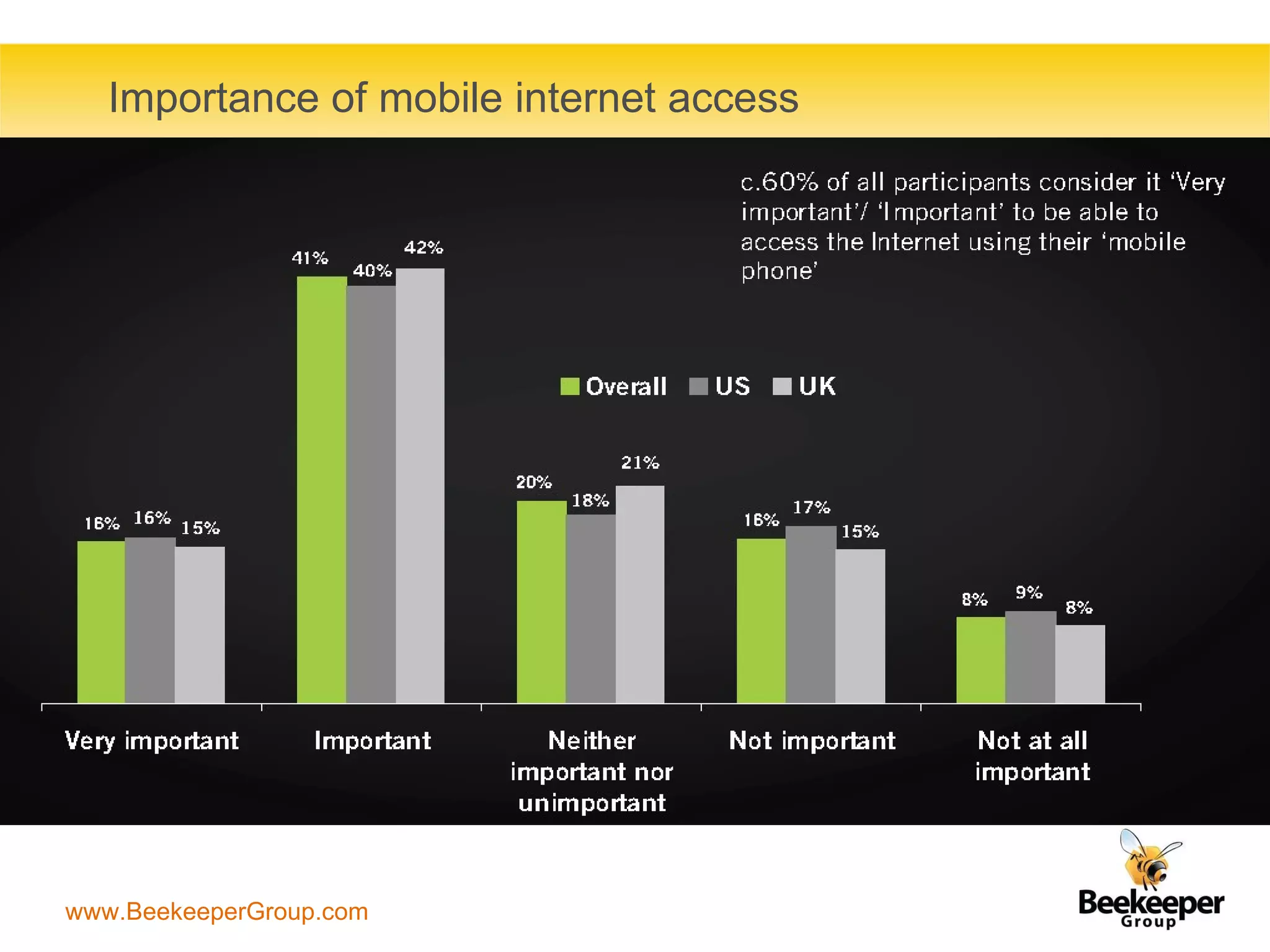 Importance of mobile internet access 
