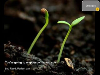 Strategies
3
You’re going to reap just what you sow
Lou Reed, Perfect day.
 