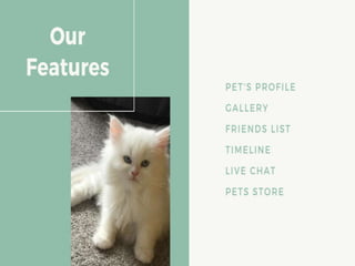Social media app for pet lovers