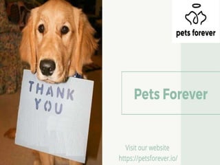Social media app for pet lovers