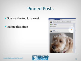 Pinned Posts
 Stays at the top for a week
 Rotate this often
59
 