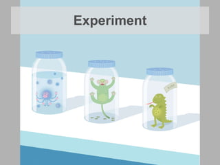 Experiment 