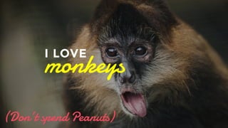Don’t get me wrong I love monkeys but if you spend peanuts - this is what you’ll get. Social media monkeys are not cool. monkeys I LOVE 
(Don’t spend Peanuts) 
 