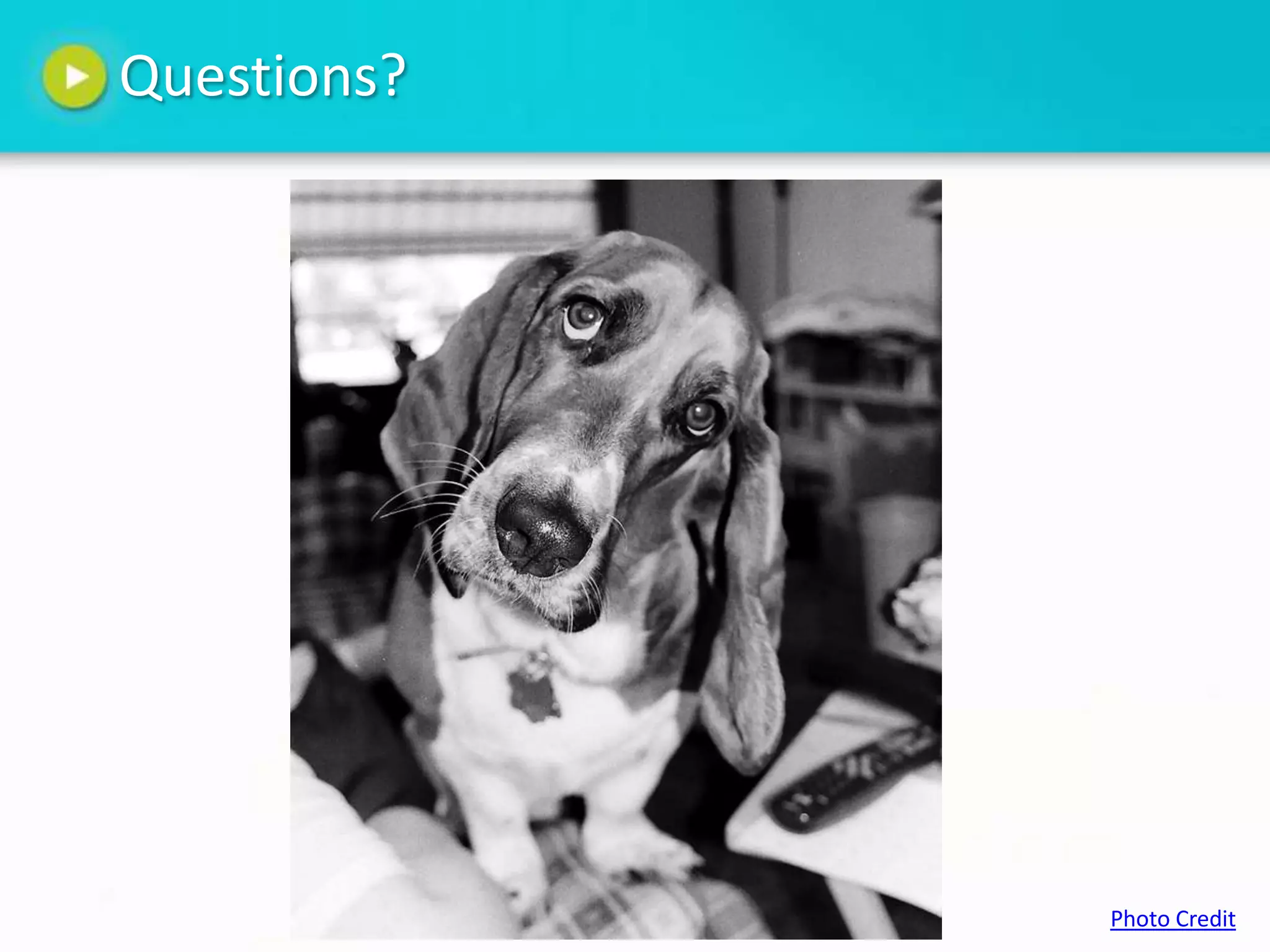 Questions?




             Photo Credit
 