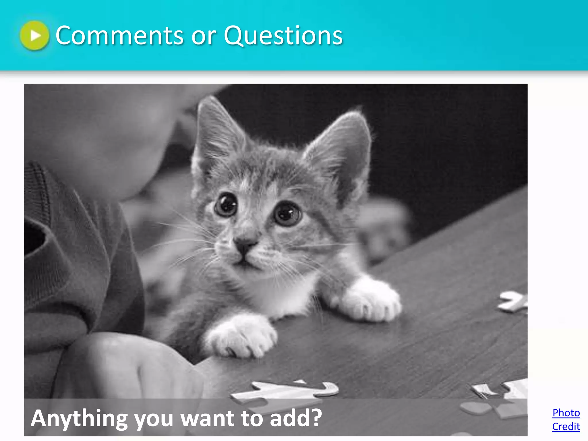 Comments or Questions




Anything you want to add?   Photo
                            Credit
 