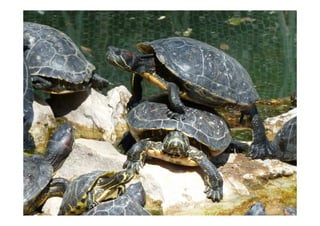 3
Bildquelle: mcschindler.com
 