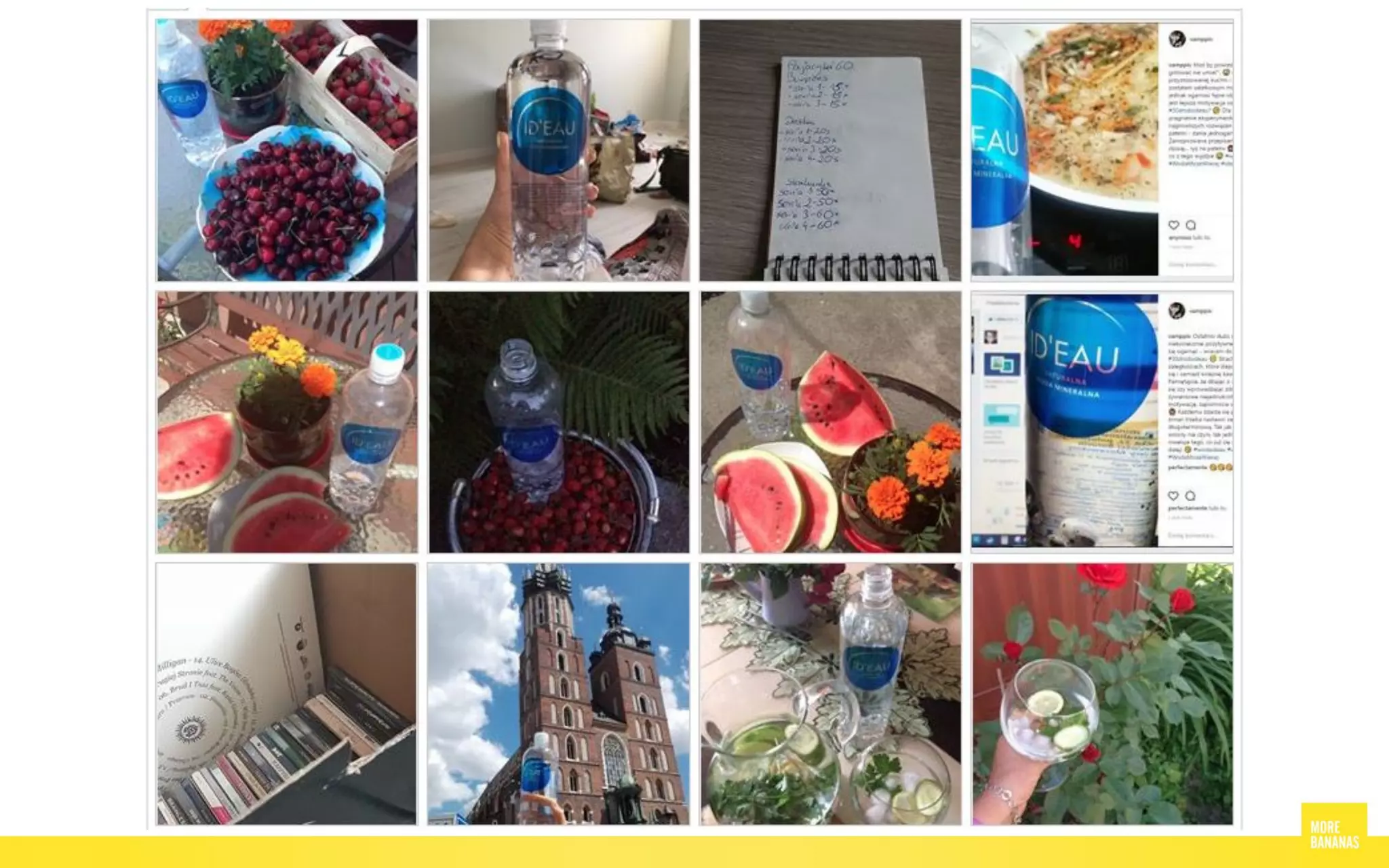 Social media customer care (Anna Ledwoń-Blacha)