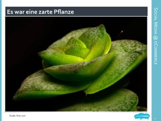 Es	
  war	
  eine	
  zarte	
  Pﬂanze	
  
Bildquelle:	
  	
  
4	
  
Quelle:	
  ﬂickr.com	
  
SOCIAL	
  MEDIA	
  @	
  ECOMMERCE	
  
 