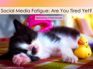 Flipbook by Chloë Grande
Social Media Fatigue: Are You Tired Yet?
Photo: Moyan Brenn(Flickr)
 