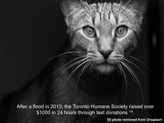 After a flood in 2013, the Toronto Humane Society raised over
$1000 in 24 hours through text donations 14.
[9] photo retrieved from Unsplash
 