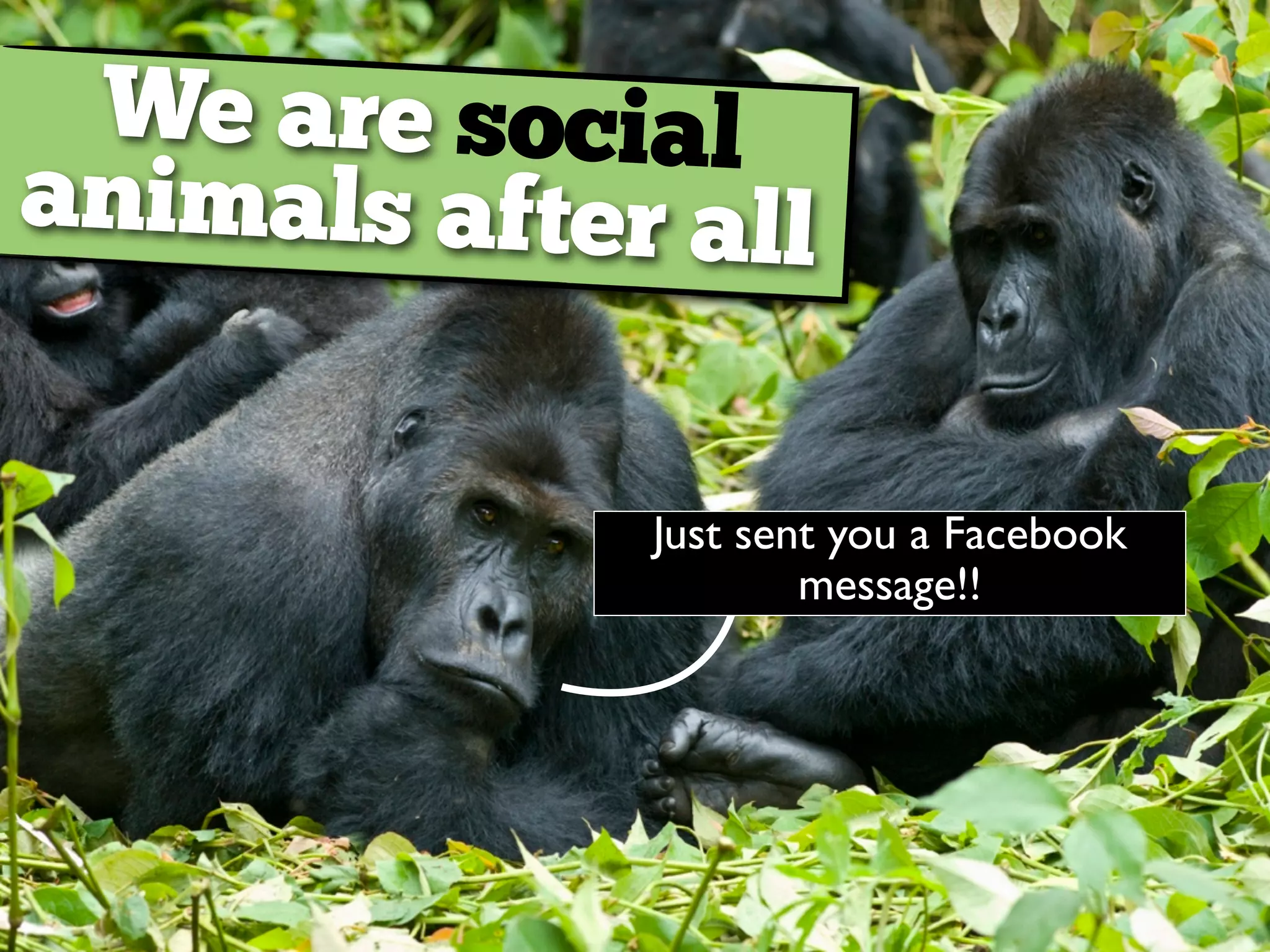 We are social
animals after all
Just sent you a Facebook
message!!
 