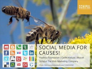 SOCIAL MEDIA FOR
CAUSES!
Hashoo Foundation | Caitlin Kaluza | @qcait
Schipul The Web Marketing Company
Photo: flickr.com/photos/wolfraven/1334244592
 