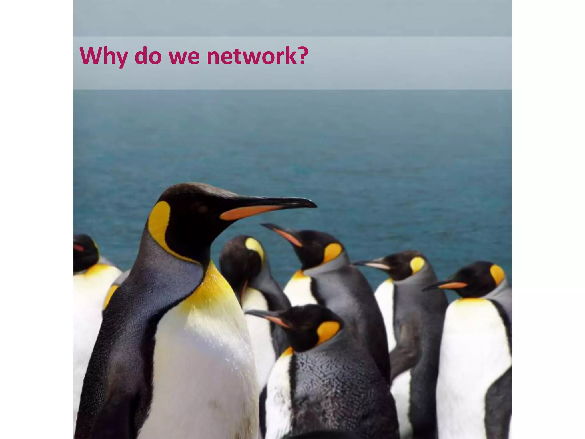 Why do we network?
 