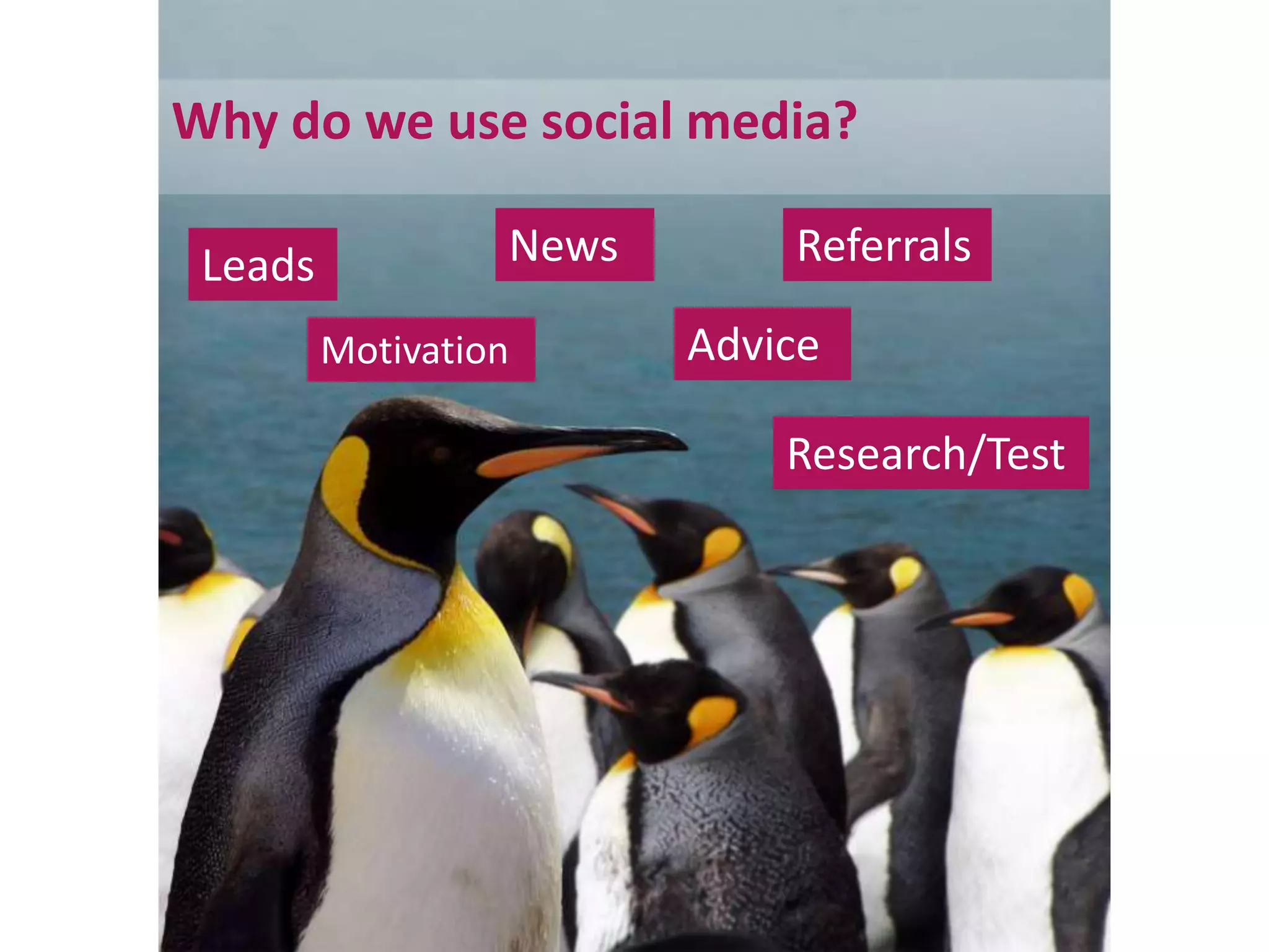 Why do we use social media?
Leads
Motivation
News
Research/Test
Referrals
Advice
 