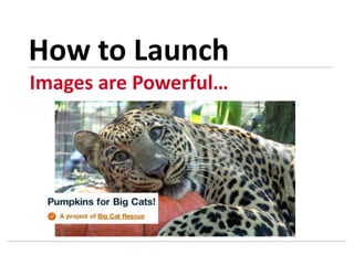 Images are Powerful…
How to Launch
 