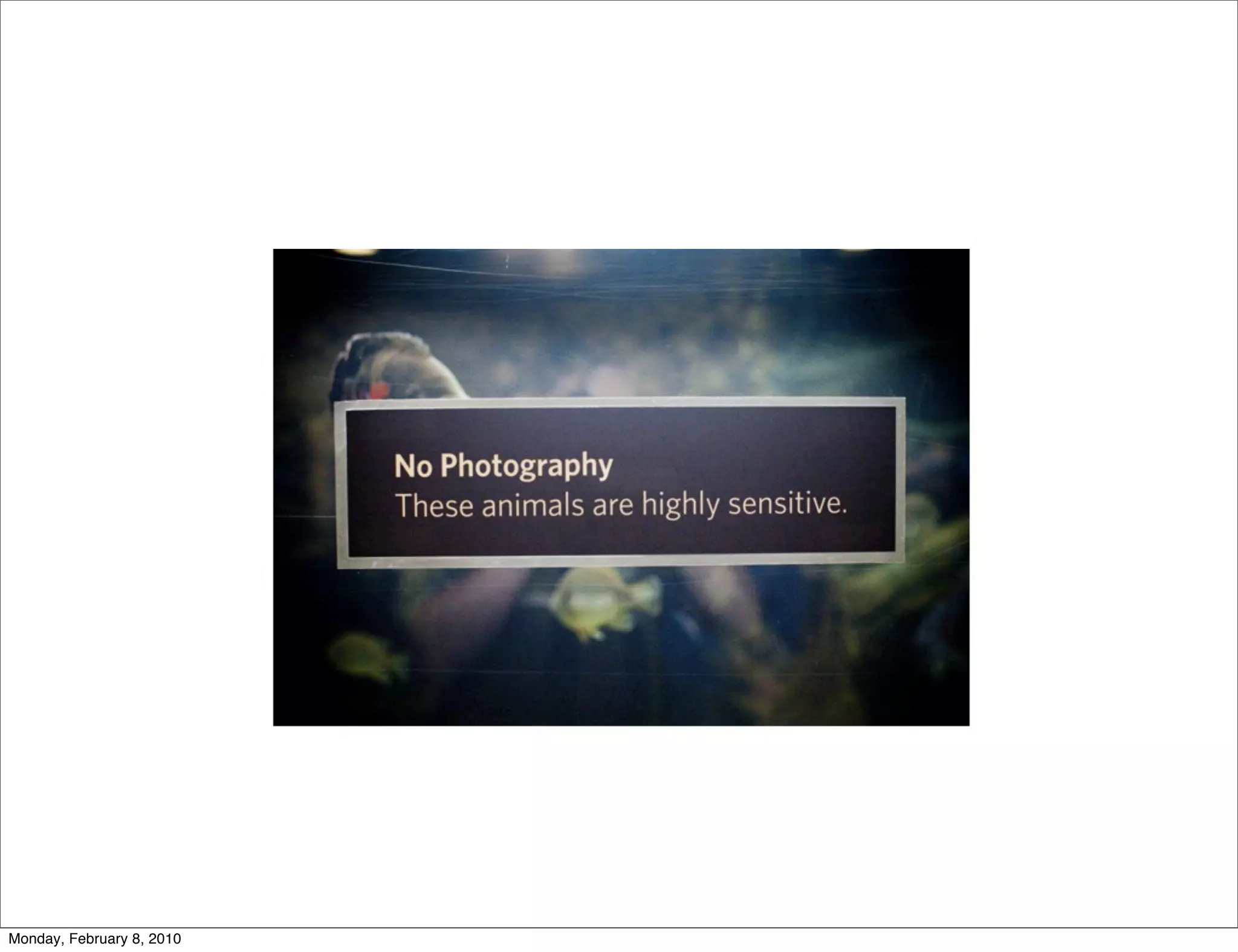 Monday, February 8, 2010
 