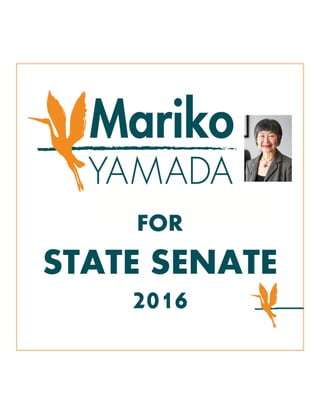 Social Media Graphics - State Senate Campaign
