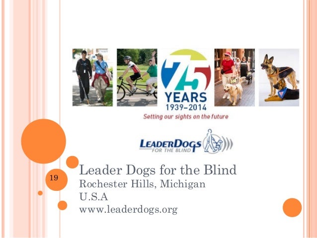 BBC - Cambridgeshire - Features - Give the dog a phone! Social media guide dog