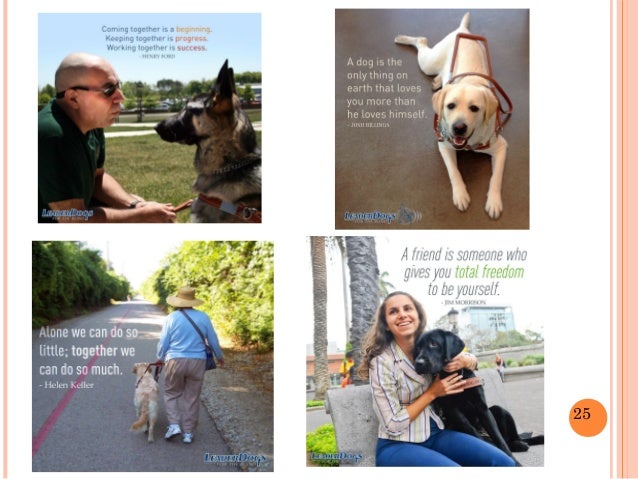 Guide Dog Puppy Raiser Manual Guide Dog Puppy Raiser Manual