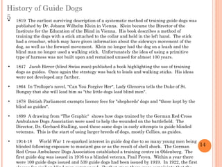 Social media guide dog North America | ODP