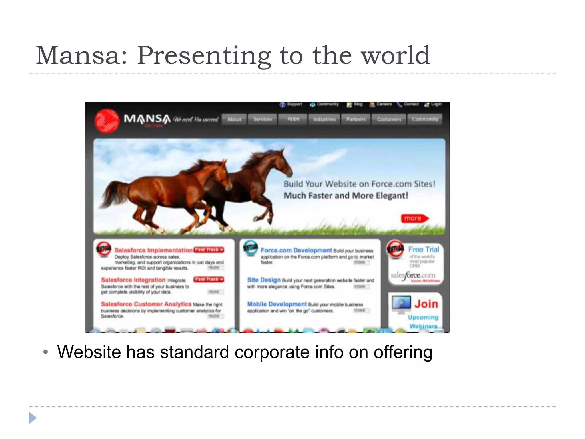 Mansa: Presenting to the world




• Website has standard corporate info on offering
 