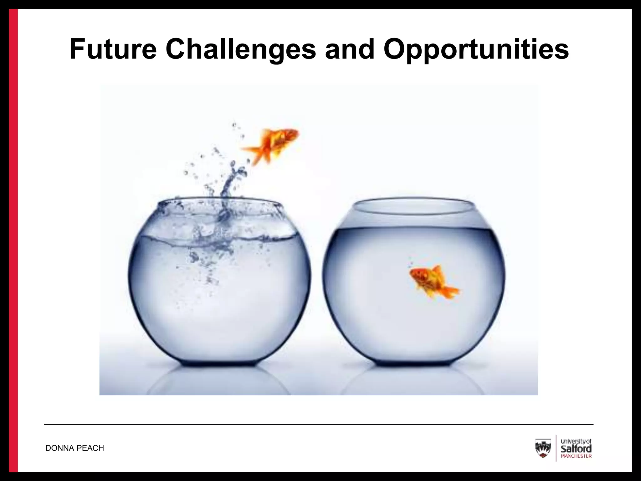Future Challenges and Opportunities
Professionalism
Values and Ethics
Diversity
Rights, Justice and Economic
Wellbeing
Knowledge
D
Critical Reflection and
Analysis
Intervention and Skills
Contexts and
Organisations
Professional
Leadership
DONNA PEACH
 