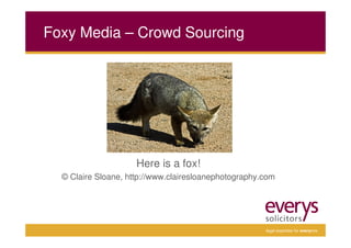 Foxy Media – Crowd Sourcing




                     Here is a fox!
  © Claire Sloane, http://www.clairesloanephotography.com




                                                      legal expertise for everyone
 