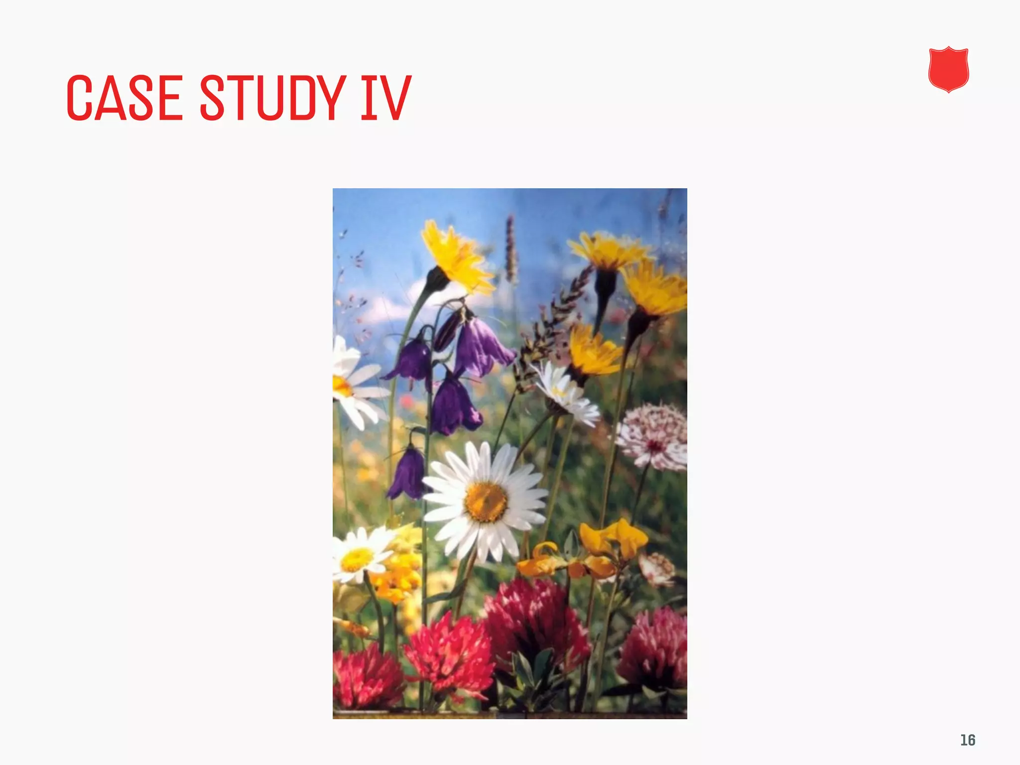 CASE STUDY IV




                16
 