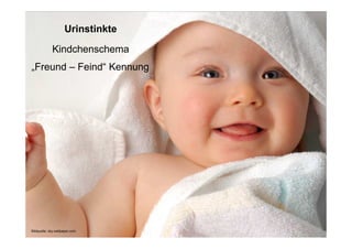 Urinstinkte

             Kindchenschema
„Freund – Feind“ Kennung




  Page     12
Bildquelle: sky-wallpaper.com
 