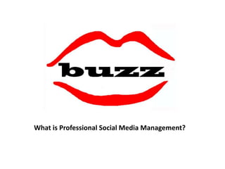 What is Professional Social Media Management? 