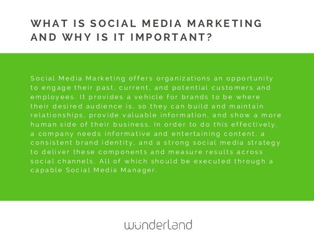 media manager job description