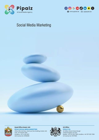 Social Media Marketing.              pdf