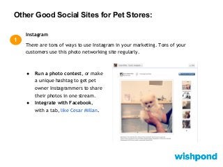 Other Good Social Sites for Pet Stores:
2
YouTube
● Make your own videos, and upload them to YouTube. Depending on
your re...