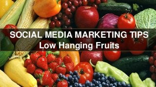 SOCIAL MEDIA MARKETING TIPS
Low Hanging Fruits

 
