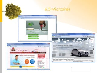 6.3 Microsites 