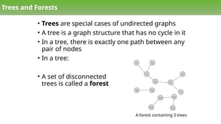 Comprehensive Overview of Special Graphs and Graph Algorithms in ...